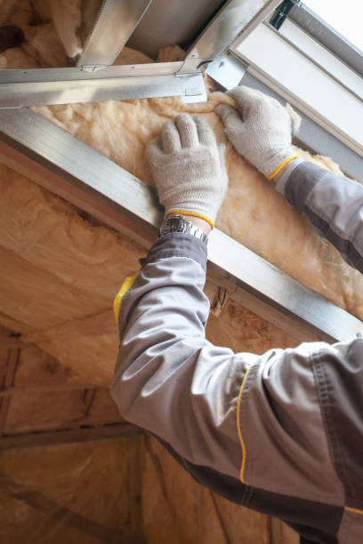 Best Attic Insulation Installation  in Leisuretowne, NJ