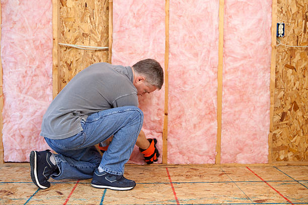 Best Spray Foam Insulation  in Leisuretowne, NJ